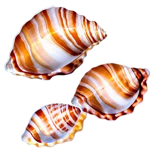 Seashell Pattern Clipart Png Jpt83 PNG Image