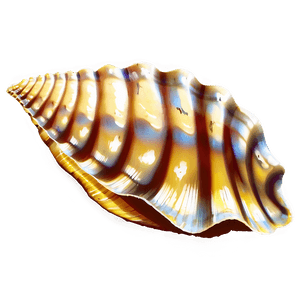 Seashell Silhouette PNG   hdc95 PNG image with transparent background