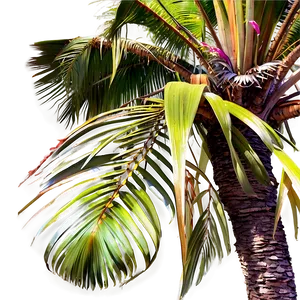 Seaside Palms View Png Ako13 PNG Image