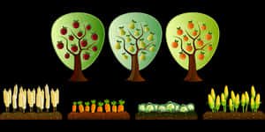Seasonal Farm Cropsand Trees PNG with transparent background