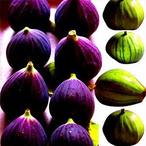 Seasonal Fig Harvest Png Wvl92 PNG Image