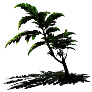 Seasonal Plant Shadow Png Axl PNG Image