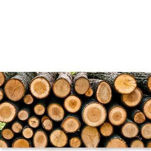 Seasoned Firewood Stack Png 06282024 PNG Image