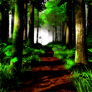 Secluded Woodland Path PNG 81 PNG with transparent background