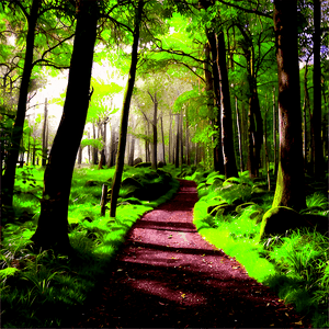 Secluded Woodland Path PNG mks96 PNG with transparent background