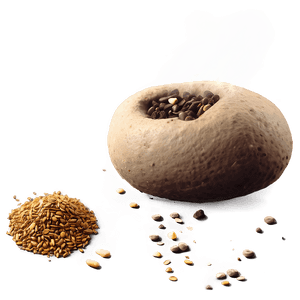 Seed Bomb Crafting PNG avo51 PNG with transparent background