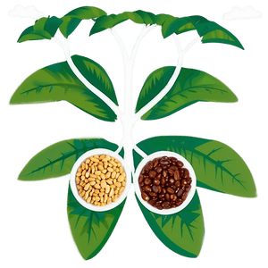 Seed Exchange Event PNG 06122024 PNG with transparent background