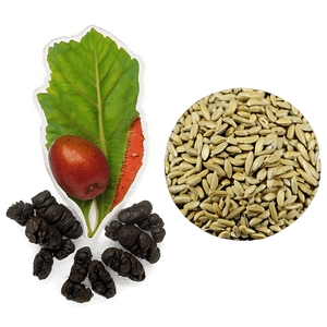 Seed Exchange Event PNG ema15 PNG with transparent background