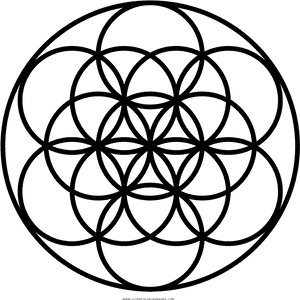 Seed_of_ Life_ Sacred_ Geometry_ Vector PNG image with transparent background