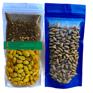 Seed Sorting Activity PNG slq PNG with transparent background