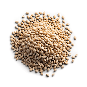 Seed Viability Test PNG 06122024 PNG with transparent background
