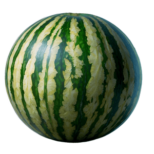 Seedless Watermelon PNG 05232024 PNG