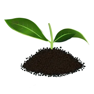 Seedling Plant Clipart Png Jmk90 PNG Image