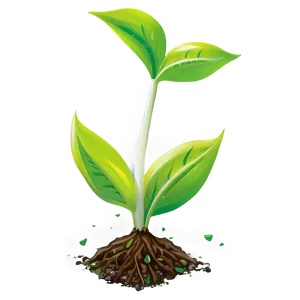 Seedling Sprout Png Lvx PNG Image