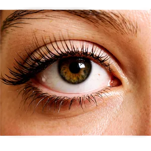 Semi-permanent Eyelash Extensions Png Tlm PNG Image