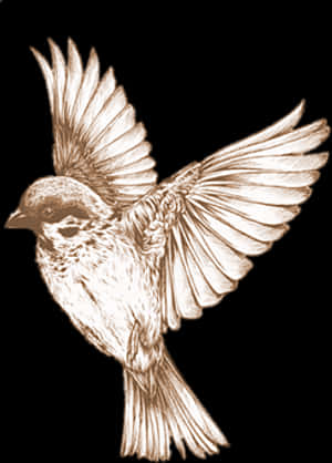 Sepia Toned Sparrow In Flight PNG image with transparent background