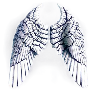 Seraphic White Wings Drawing Png 71 PNG Image