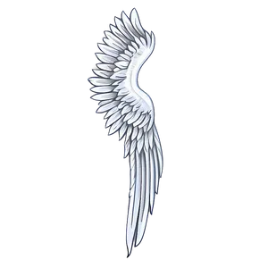 Seraphic White Wings Drawing Png Djp PNG Image