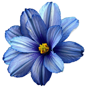 Serene Blue Flower PNG 90 PNG image with transparent background