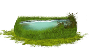Serene_ Grassy_ Pond PNG image with transparent background
