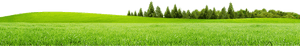 Field Meadow PNG Photos PNG with transparent background