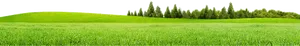 Serene Green Meadow Panorama PNG Image