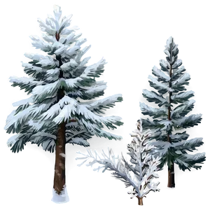 Serene Snowy Pine Tree Png Fky PNG Image