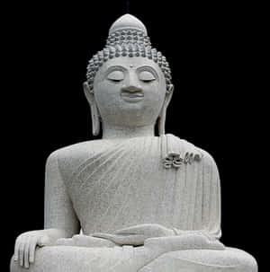 Serene Stone Buddha Statue PNG image with transparent background