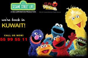 Sesame Street Characters Png Download - Sesame Street PNG image with transparent background