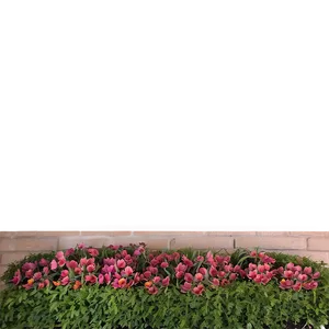 Shade Flower Bed Png Bvj PNG Image