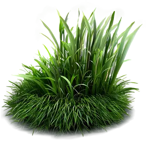 Shaded Grass Patch Png Ytr26 PNG Image