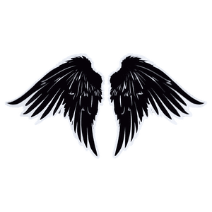 Shadow Angel Wings Graphic PNG 11 PNG image with transparent background