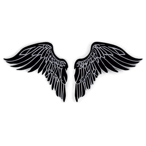 Shadow Angel Wings Graphic PNG axb4 PNG image with transparent background