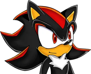 Shadow The Hedgehog Portrait PNG Image