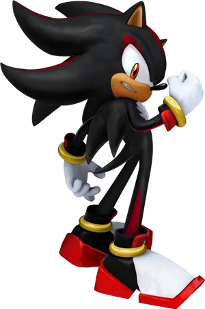 Shadow The Hedgehog Pose PNG Image