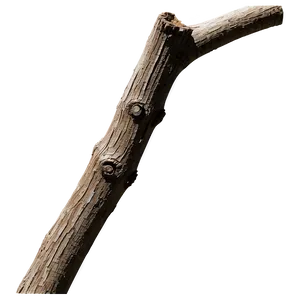 Shadowed Twig Png 45 PNG Image