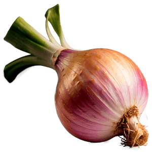 Shallots Onion PNG 51 PNG image with transparent background