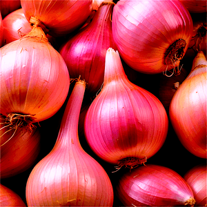 Shallots Onion PNG hpb PNG image with transparent background