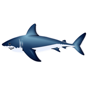 Shark Illustration PNG 94 PNG image with transparent background