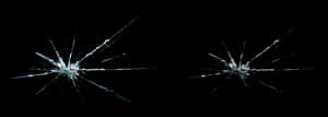 Transparent Glass Texture Transparent Png - Insect, Png Download PNG