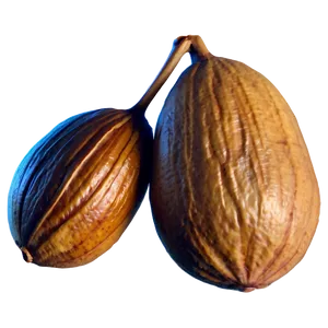 Shea Nut Png Vnl96 PNG Image