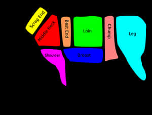 Sheep Cuts Diagram PNG image with transparent background