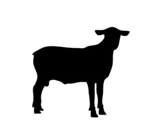 Sheep Silhouette Graphic PNG image with transparent background