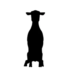 Sheep Silhouette Profile PNG Image