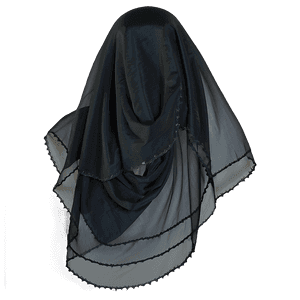 Sheer Silk Veil PNG wrf36 PNG with transparent background