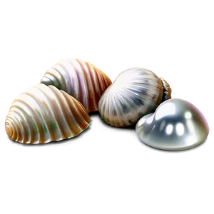 Shells With Pearls Png 06212024 PNG Image