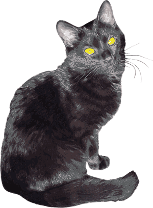 Sherlock Clip Arts - American Shorthair, HD Png Download PNG image with transparent background