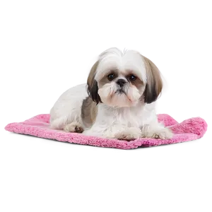 Shih Tzu Sitting Pretty Png 21 PNG Image