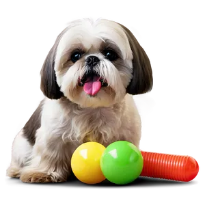 Shih Tzu With Toys Png 06242024 PNG Image