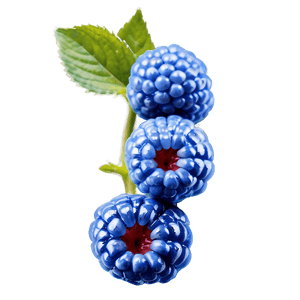 Shimmering Blue Raspberry PNG axd16 PNG